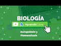 Autopoiesis y Homeostasis