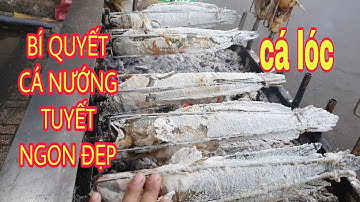 Chia Sẻ Bí Quyết Cá Lóc Nướng Tuyết Ngọt Thịt | Luyện Lộc Vlogs