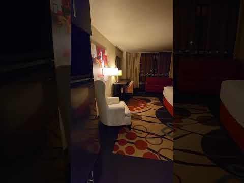 Circa Resort | Las Vegas #lasvegas #vegasbaby #vegas #nrlvegas #travel #circaresort #view #shorts