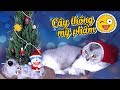 [DIY] Trang trí cây thông Noel bằng mỹ phẩm với bé mèo quàng khăn đỏ - Chuẩn bị đón giáng sinh 2018
