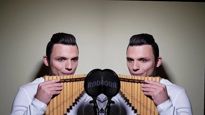 Shallow (A star is born) - Pan Flute Cover by Mich...