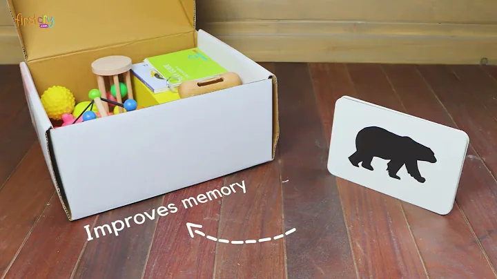 Curious Cub Montessori Learning Wooden Toys Box of 11