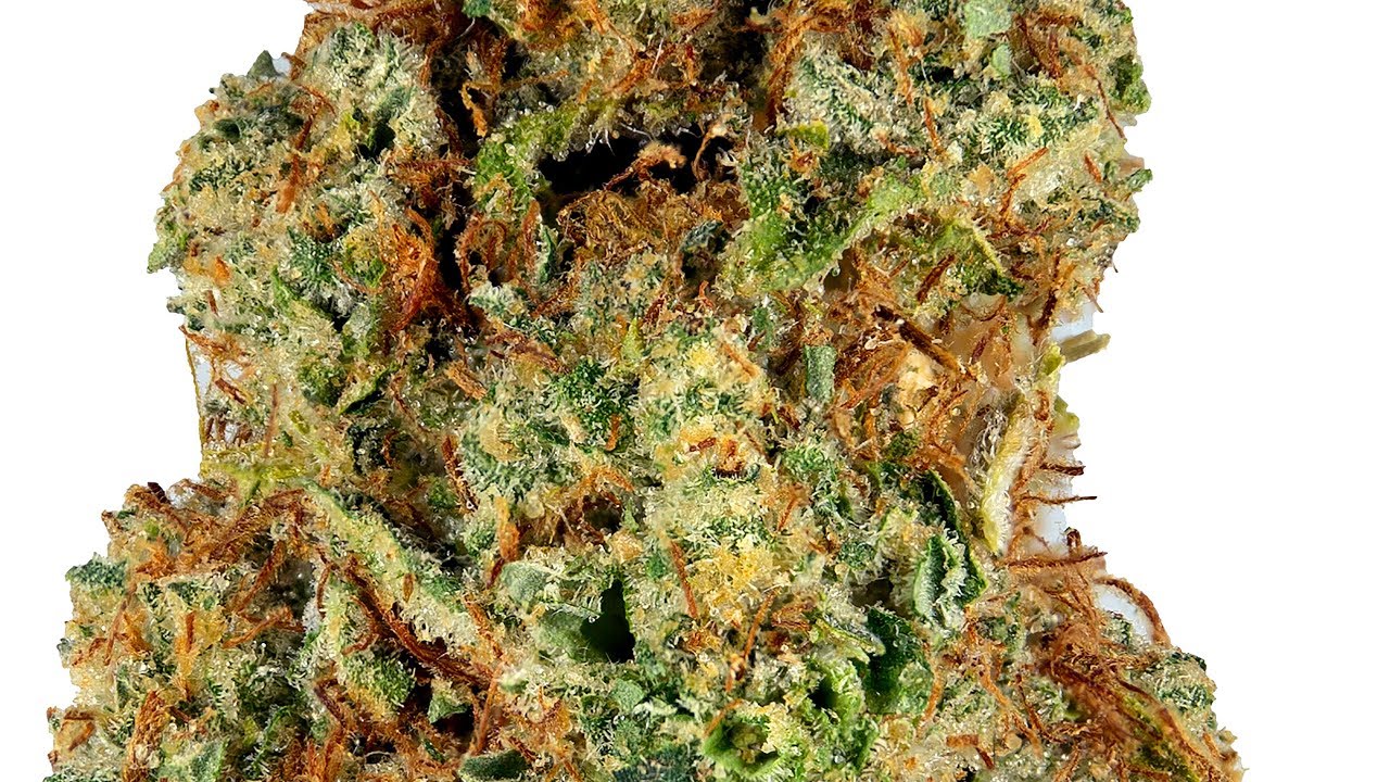 Strain Review: Lemon OG