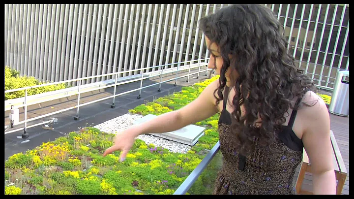 On the Scene: "Slowgirl" Star Sarah Steele Tours t...