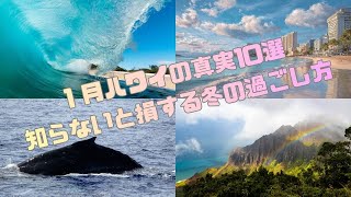 1月ハワイの真実10選｜行く前に必ず見て　「1月のハワイって寒い？気温・海・注意点を解説」