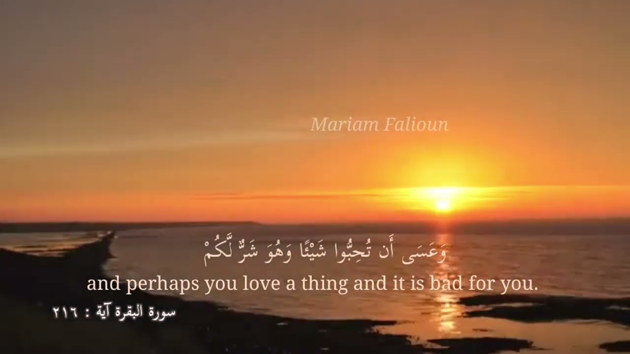 قرآن كريم❤️ حالات دينية❤️سورة البقرة آية 216❤️وعسى ان تكرهوا شيئا وهو خير لكم❤️ايات قرانية مترجمة❤️