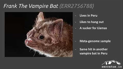 BCC2020 COVID 19 Artem Babaian   Serratus  Ultra deep search for novel coronaviruses