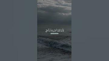 ماهر المعيقلي 💚 ~سورة المؤمنون~❤️