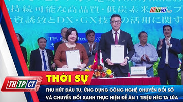 Thu hút đầu tư, ứng dụng công nghệ chuyển đổi số và chuyển đổi xanh thực hiện Đề án 1 triệu ha lúa