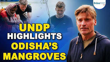 Odisha’s mangrove restoration shines in UNDP’s ‘An Optimist’s Guide to the Planet’