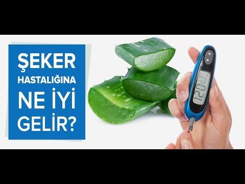 Şeker Hastalığı Ne İyi Gelir ?  Şekere İyi Gelen 10 Yiyecek