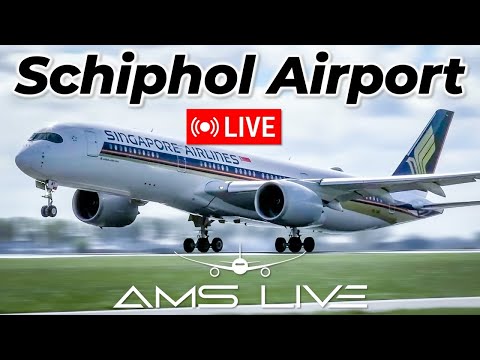 LIVE Sunny Morning Departures from Amsterdam | Polderbaan 36L Takeoffs (EHAM) | June 29, 2025