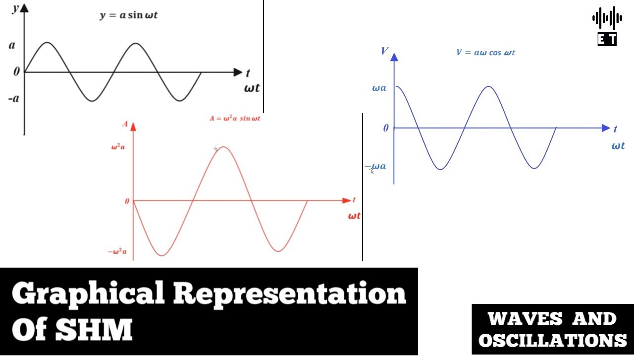 simple harmonic motion graphical representation