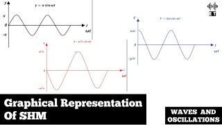 Graphical Representation Of Simple Harmonic Motion | Basic Concepts | Waves And Oscillations