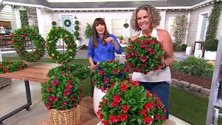 Wicker Park Bougainvillea Faux Spheres, Wreath or Hanging Basket on QVC