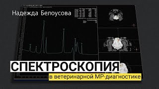 Спектроскопия в ветеринарной МР-диагностике