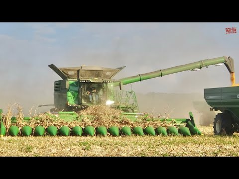 Potato Harvest, PLOEGER AR-4BX + Fendt & New Holland