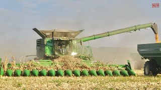 Big COMBINES Harvesting Corn