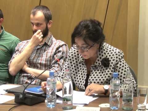 სახალხო დამცველის ინიციატივა საკონსტიტუციო სასამართლოს უფლებამოსილების გაფართოებასთან დაკავშირებით