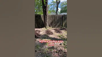 My New Garden Area Soon Thanks God 