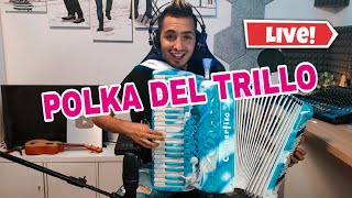 POLKA DEL TRILLO (live fisarmonica polka)