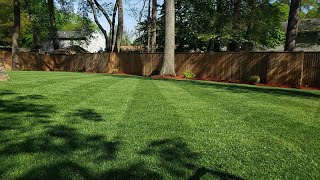 Leveling FESCUE!  Most Efficient Method For Cool Season Grass Types by Elevated Lawnscapes 4,877 views 13 days ago 2 minutes, 3 seconds