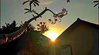 Story WA Pagi Hari || Cinematic 30 Detik || Aesthetic Alam || Sinematik Estetik Keren
