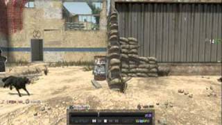 so_rude_ - Attack Dogs Through the Wall Glitch - Black Ops