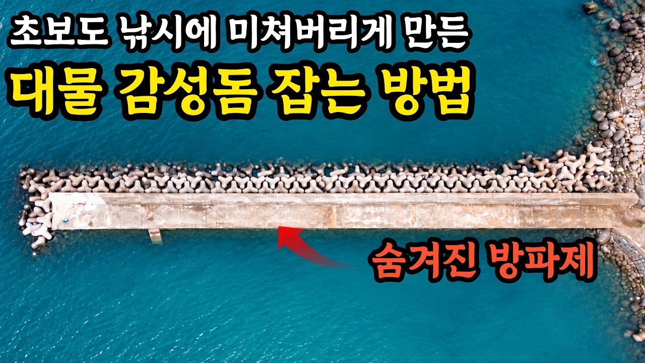 한국형 당고 집어제로 방파제에서 대형 감성돔 잡기