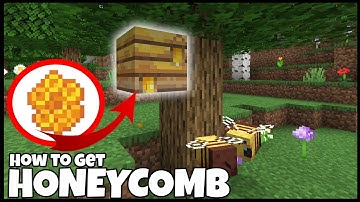 How To Get HONEYCOMB In MINECRAFT