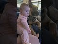 German Shepherd Protects Baby From Malinois Kisses