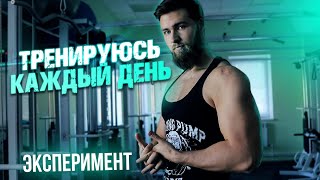 Тренировки каждый день Фулбади Челлендж