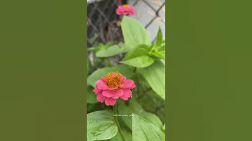 أنت مسؤول عن نفسك عمار شريف 