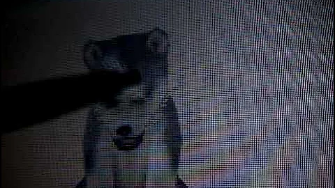 Nintendogs Help and Advice: Advance/Combo Tricks: Waddle Part 2!