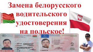 Замена белорусского водительского удостоверения на польское! Полная инструкция!