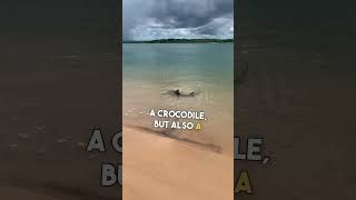 Download Lagu “Come on in, buddy. Water’s warm!” 😱 💀 MP3