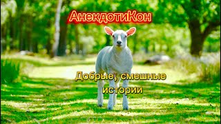 АнекдотиКон | Добрые смешные истории | 4 серия