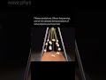 waves physics of pendulum