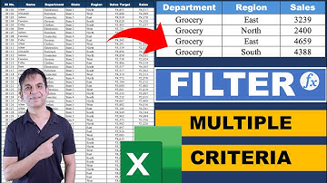 How To Use Excel FILTER Function With Multiple Criteria & Return Only the Columns You Need