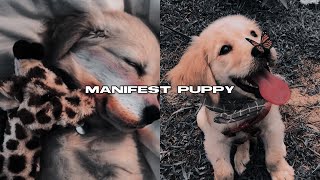 manifest puppy subliminal ♡ (FORCED)