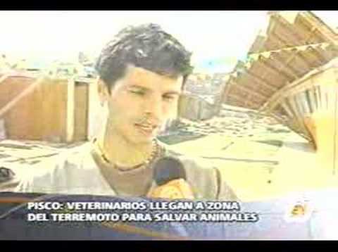 Earthquake Peru animal Help www.huaw.org