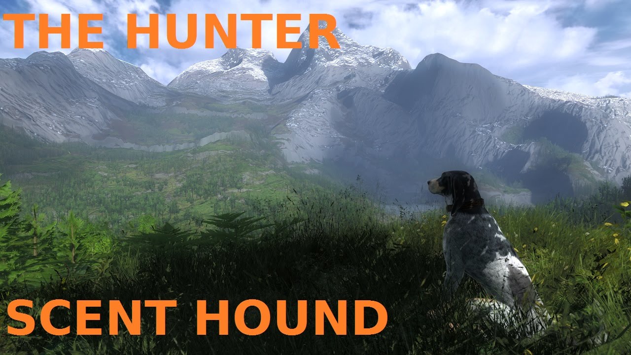 The Hunter | Scent Hound