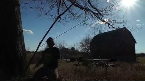 Science, math, Mother Nature