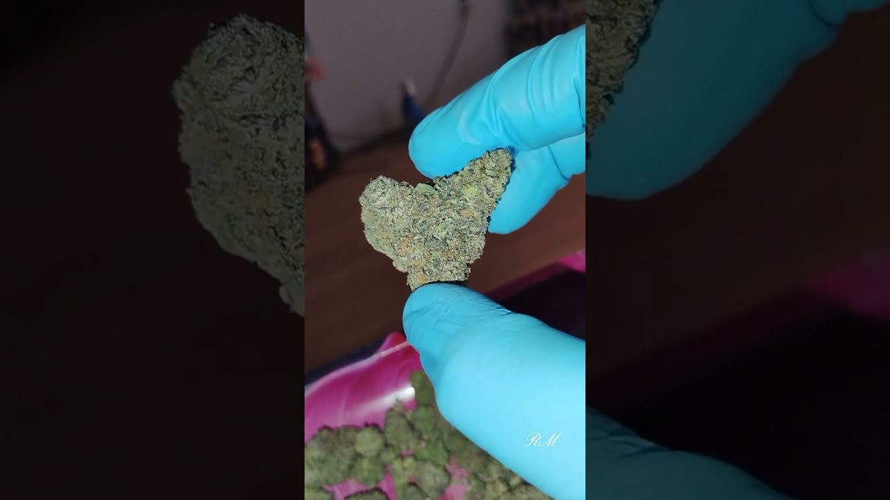 black cherry guava flower 