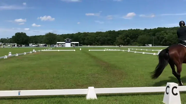 Austin Calling Ocala international horse trials April Novice Test B