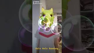 Download Lagu Halo Halo Bandung (Album Version) - Cokelat 🍫 MP3