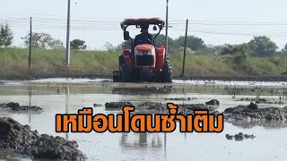 กลุ่มชาวนา-รถบรรทุก โอด! ตั้งแต่ต้นปี ‘ดีเซล’ ขึ้นแล้ว 2 บาท ดันทุนพุ่งสูงเกือบครึ่ง