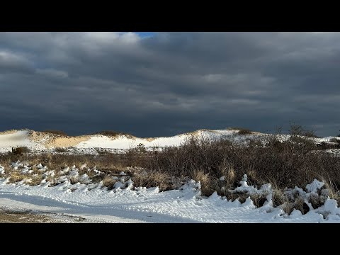 Off Road Drive