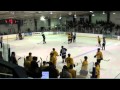 Springfield jr blues vs chicago hitmen line brawl 121011