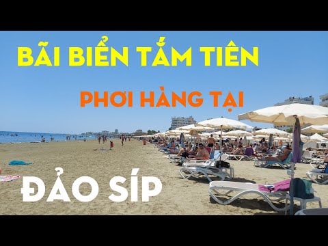 Video: Bệnh lãng phí chó